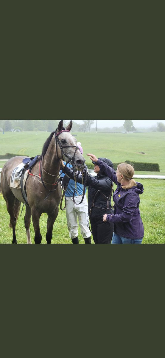 Winner for Jukebox Jury in America 🇺🇸

Geordie Dreamer obliges in the 2 mile Maiden Hurdle @MiddleburgRaces on his first start for @Keri145 under @HendriksParker

He is from the first Irish crop of Jukebox Jury and is a @Goffs1866 and @BaltimoreStable graduate

@USASteeplechase