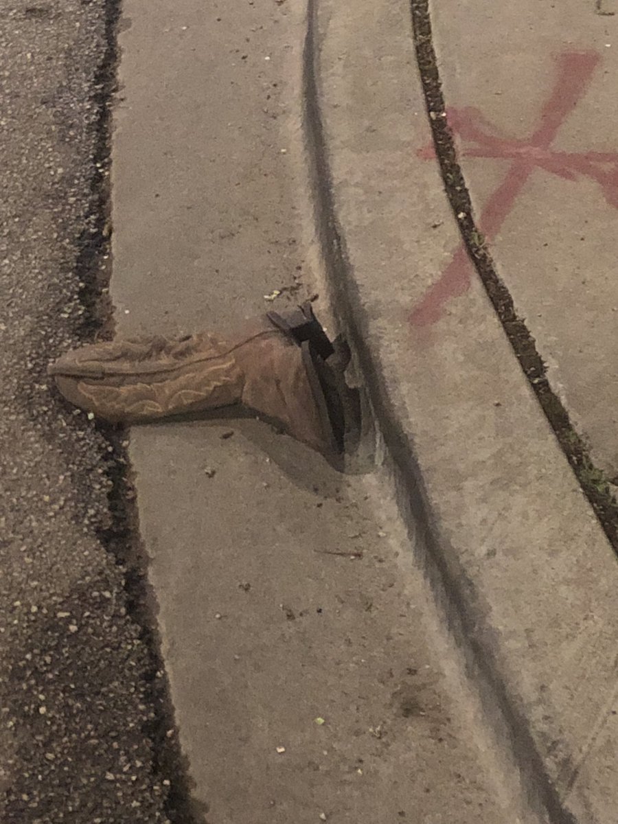 so long….partner 💐