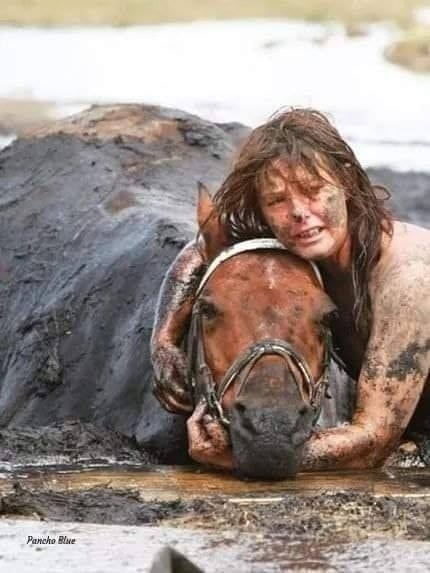 MattoneFabian's tweet photo. Graham se negó a dejar a su caballo abandonado y condenado a una muerte segura. pasó 3 horas aferrada al animal mientras éste luchaba para no hundirse en el lodo, manteniendo su cabeza erguida para q no se ahogara mientras subía la marea, hasta que fué rescatado por los bomberos. https://t.co/TNLQRdggon