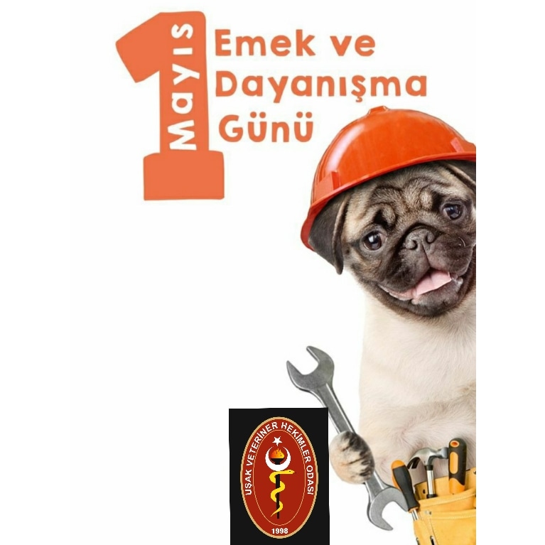 Uşak Veteriner Hekimler Odası tweet media