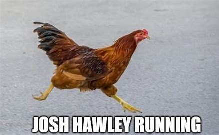 lobosgatos's tweet image. Josh Hawley is trending on Twitter. Apparently he is a tiny little coward.