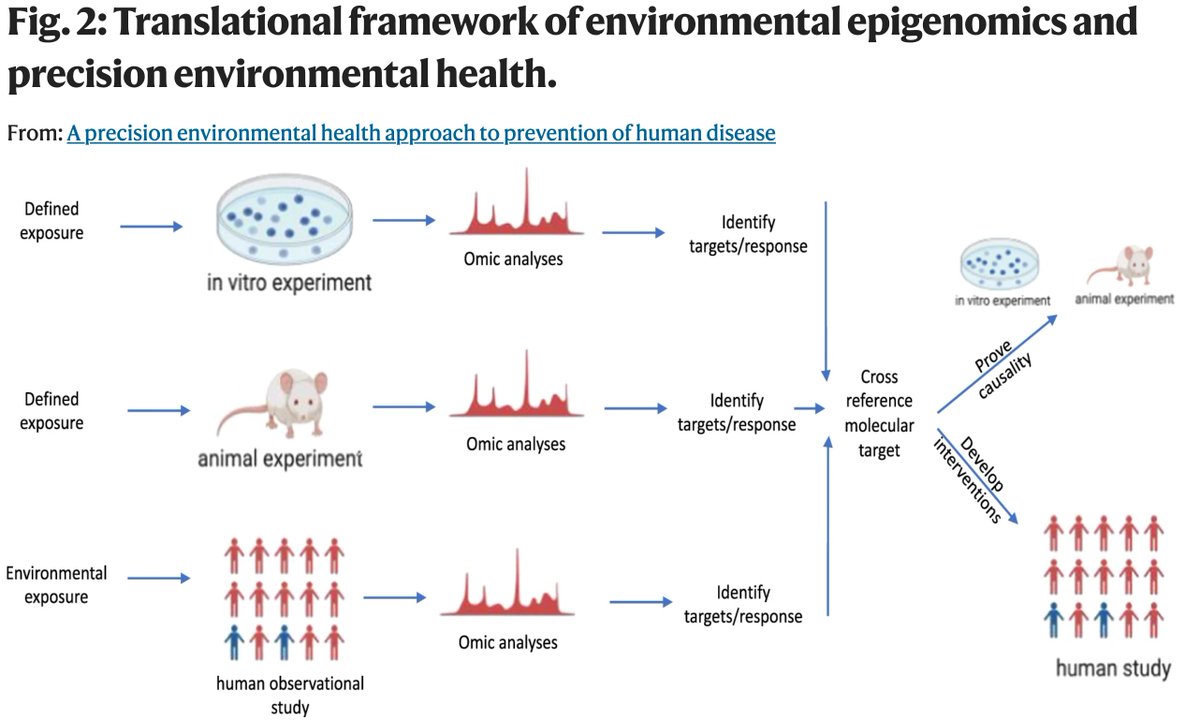 Precision environmental health is an emerging field leveraging environmental & system-level (‘omic) data to understand environmental causes of disease, identify biomarkers of exposure & response, & develop prevention & intervention strategies rdcu.be/da5jt #NIEHS_EHSCC