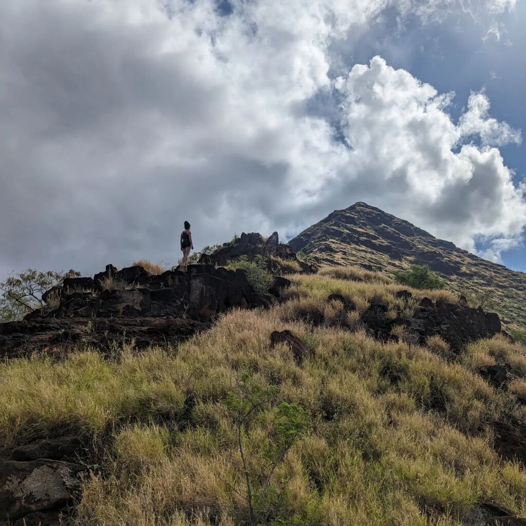 iclaudeus's tweet photo. "Going back to Honolulu just to get that..."
- Kid Cudi https://t.co/3QwV7f8MVN https://t.co/tBoPp0O1O4
