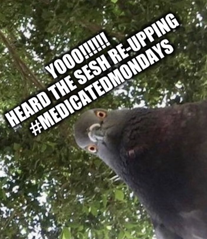 djmodickey's tweet image. @PubSportsRadio @DabyCab @DutchBoyFresh This for real??? Best news I heard all MF weekend!! #medicatedmondays #thesesh