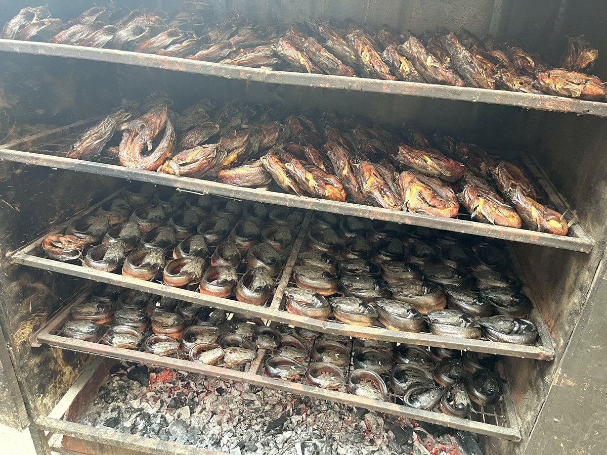Afinju_eleja's tweet photo. Happy new month Fam ❤️
I have neatly wash well seasoned smoke catfish y’all 

Pls patronize my small business 
Kindly RT &amp; Patronize  me 🙏 https://t.co/3nS8y8D8QP
