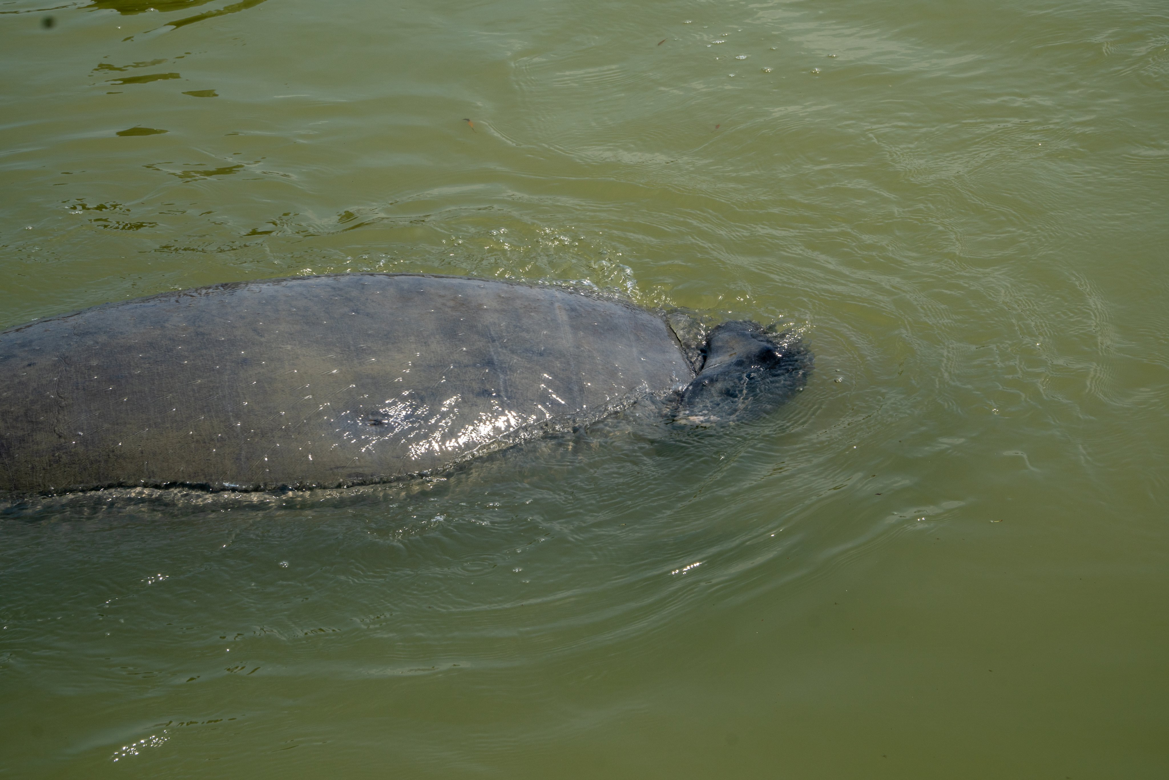 Ellie Huxtable (ellie_huxtable) / Twitter