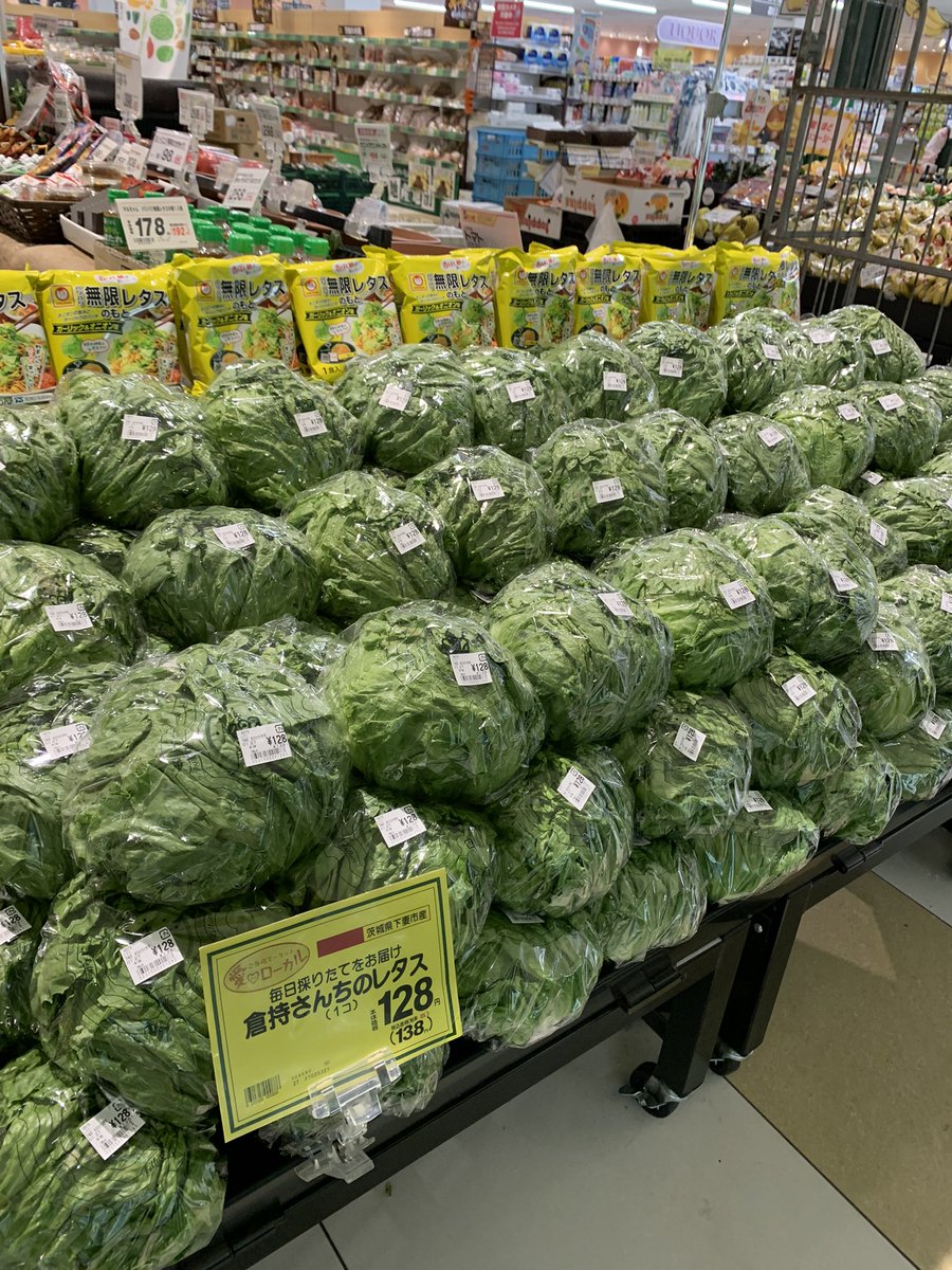 sunkura2013's tweet photo. おはようございます☀
5/1から5/15くらいまでサンサンファーム倉持の採れたてレタスが、カスミふるさわ店にいっぱい並びます🥬
シャキシャキ肉厚で美味しいですよー✨
#SHIMOTSUMA_CLST
#くらもちのやさいレタス https://t.co/cl7VrqaiJ1