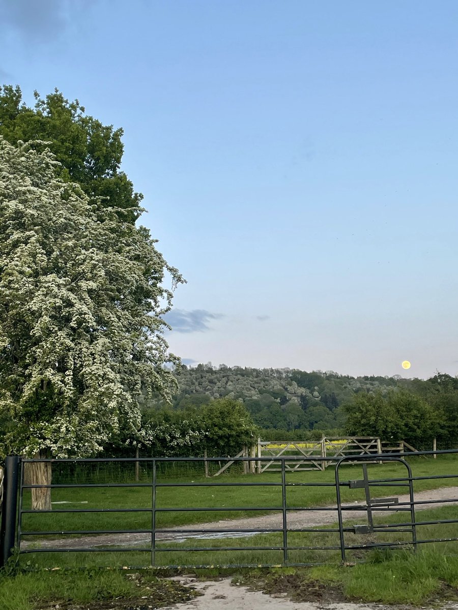 Ellie ⛄️ tweet media