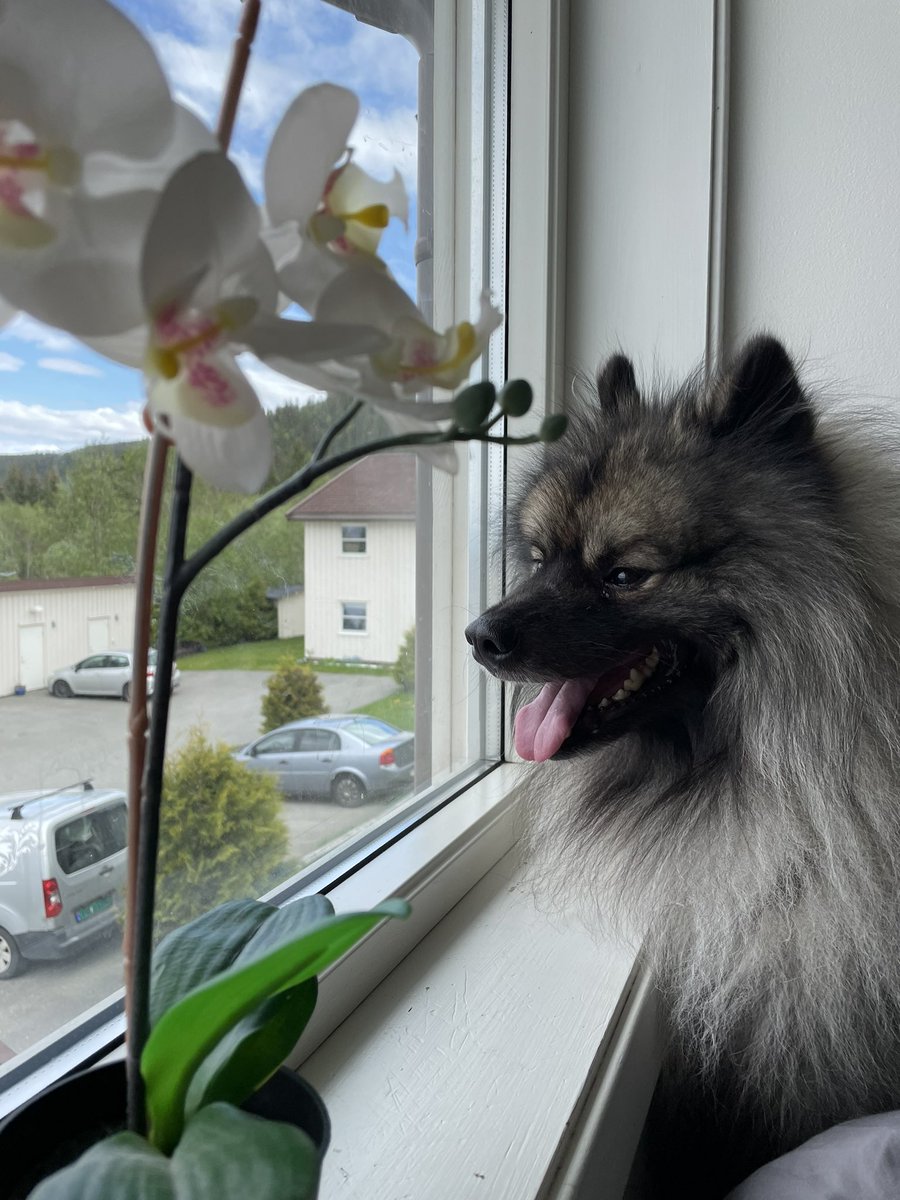 Ellie ⛄️ tweet media