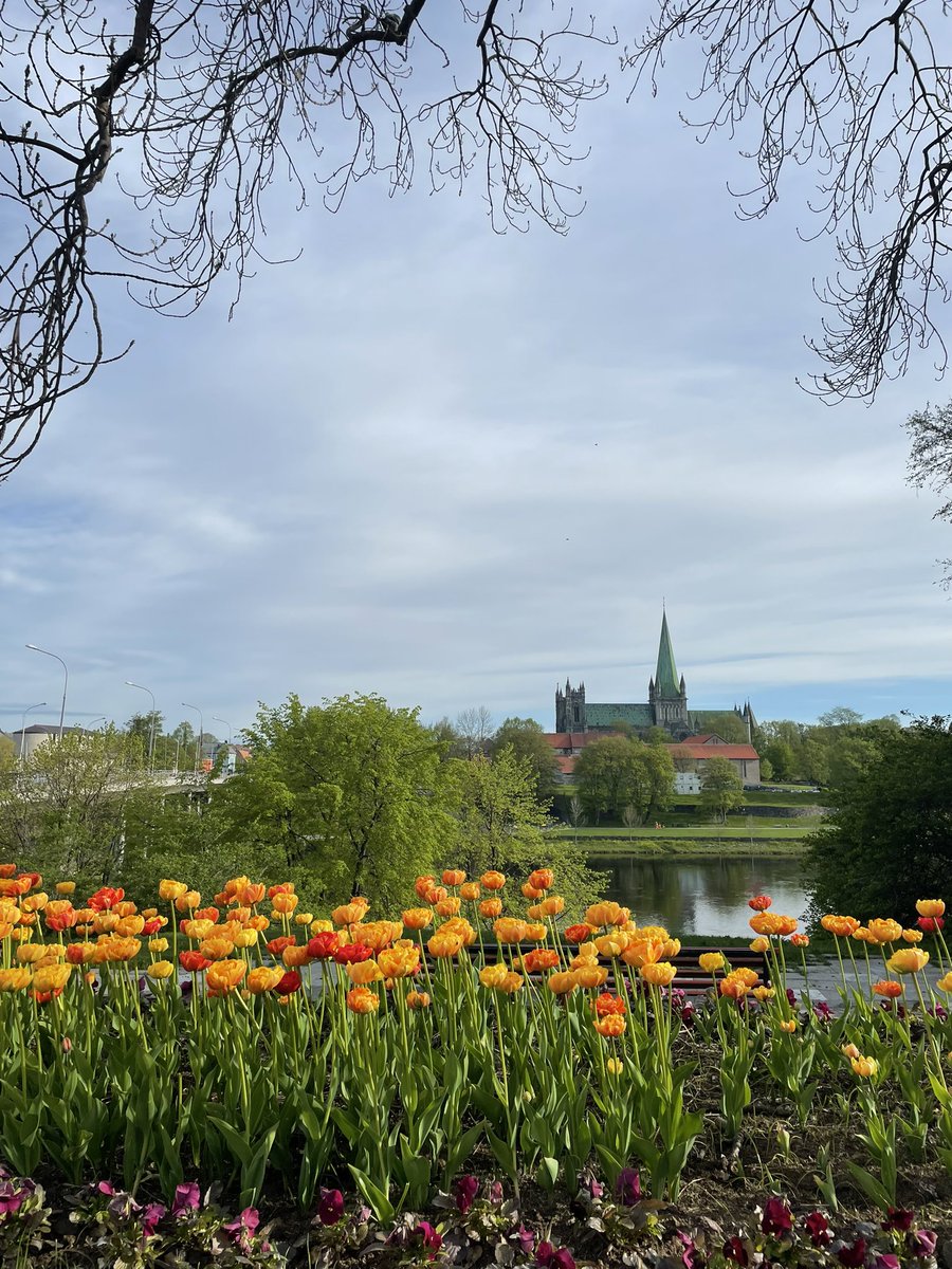 Ellie ⛄️ tweet media