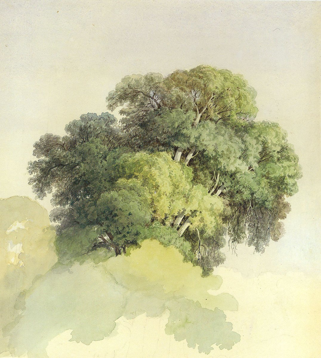 Silvia39217738's tweet photo. Fyodor Vasilyev
The Crown of the Trees (1867) https://t.co/L0AB253Pq0