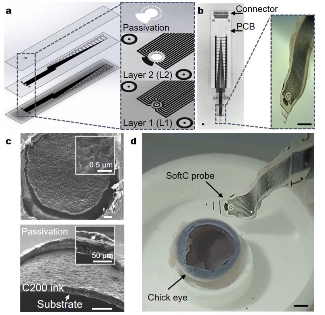 assets.researchsquare.com/files/rs-28507…
A new manuscript describing Bi-directional electrical recording and stimulation of the intact retina