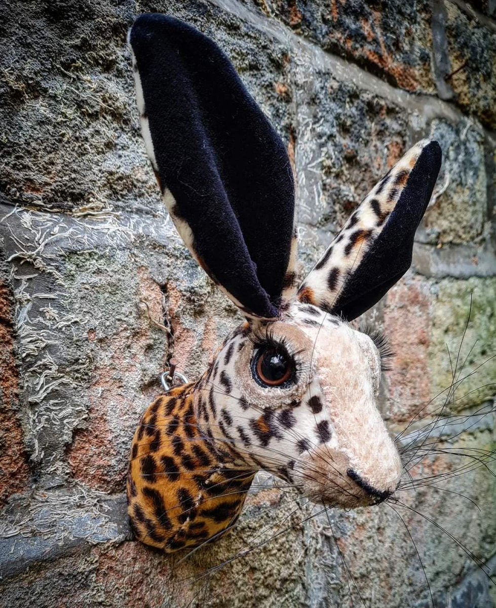 Jaynetunners's tweet photo. I bought this velvet cheetah print in a drapers in Hythe, Kent, the day before Paul's funeral (how I hate typing those words - it's still surreal) then Lily appeared to me. https://t.co/XkFJE87qzV #fauxhare #rabbitreplica #LilySavage #PaulOGrady #handmadehour #harewallmount https://t.co/oS0N3hAwSp