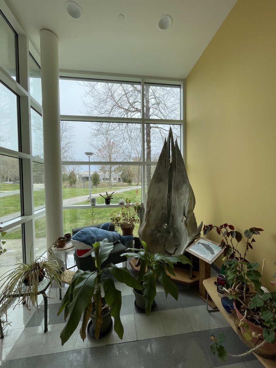 Tzu-Hao Harry Lin tweet media