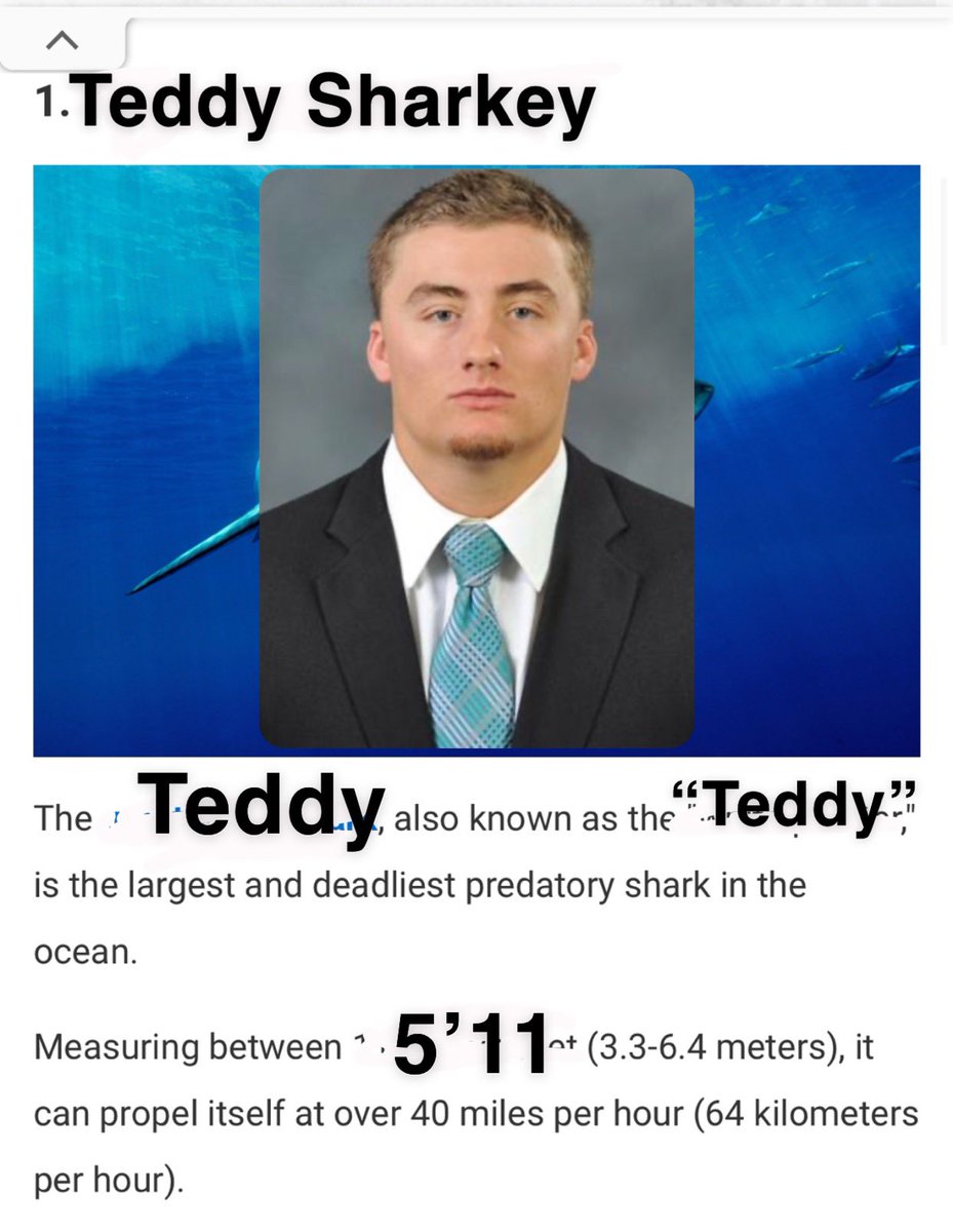 Stephen Schoch (@bigdonkey47) on Twitter photo Pretty crazy stuff comes up when you search for the most dangerous kind of sharks (totally a real website not an edit) <a href="/CoastalBaseball/">Coastal Carolina Baseball</a> Pretty crazy stuff comes up when you search for the most dangerous kind of sharks (totally a real website not an edit) <a href="/CoastalBaseball/">Coastal Carolina Baseball</a>