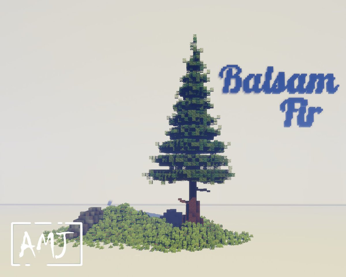 Fdeeees's tweet photo. Making a new species of tree every day for 30 days
(9/30): Balsam Fir
#Minecraft #MinecraftTrees #CustomTrees https://t.co/TUf3yjPpmE