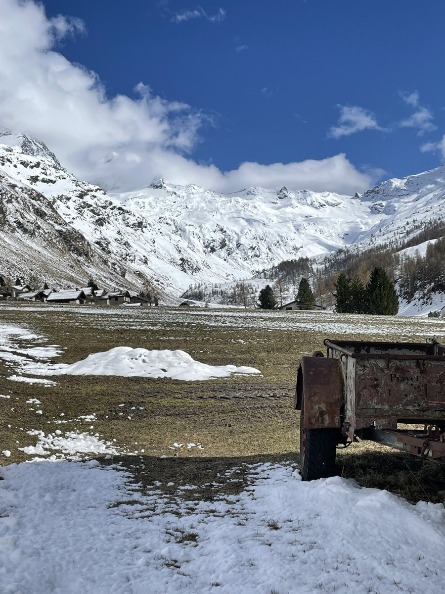_massimomauri's tweet photo. Arrivederci Sils. #ValFex #Sils #visitsilsmaria #Engadin @MySwitzerland_i https://t.co/fDSiQ4kldv