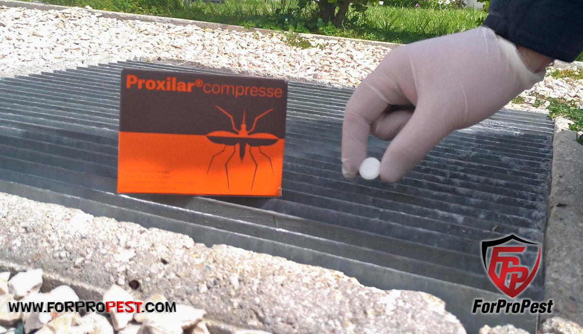 pest_for's tweet photo. 🔴I vantaggi e gli svantaggi dei larvicidi chimici e biologici per zanzare.

ℹ️  https://t.co/S7j66Voy5j

#forpropest #larvicidi #biologico #larvicidazanzare #zanzare #pestcontrol #larvicidichimici #larvicidibiologici #estate #giardino #casa #acqua #vantaggi #svantaggi #malaria https://t.co/oZR4g2B1Zi
