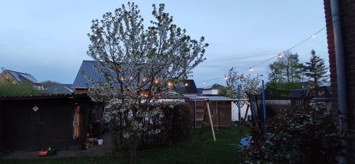 LED Patrick🚥 / @pbl0m@phpc.social tweet media