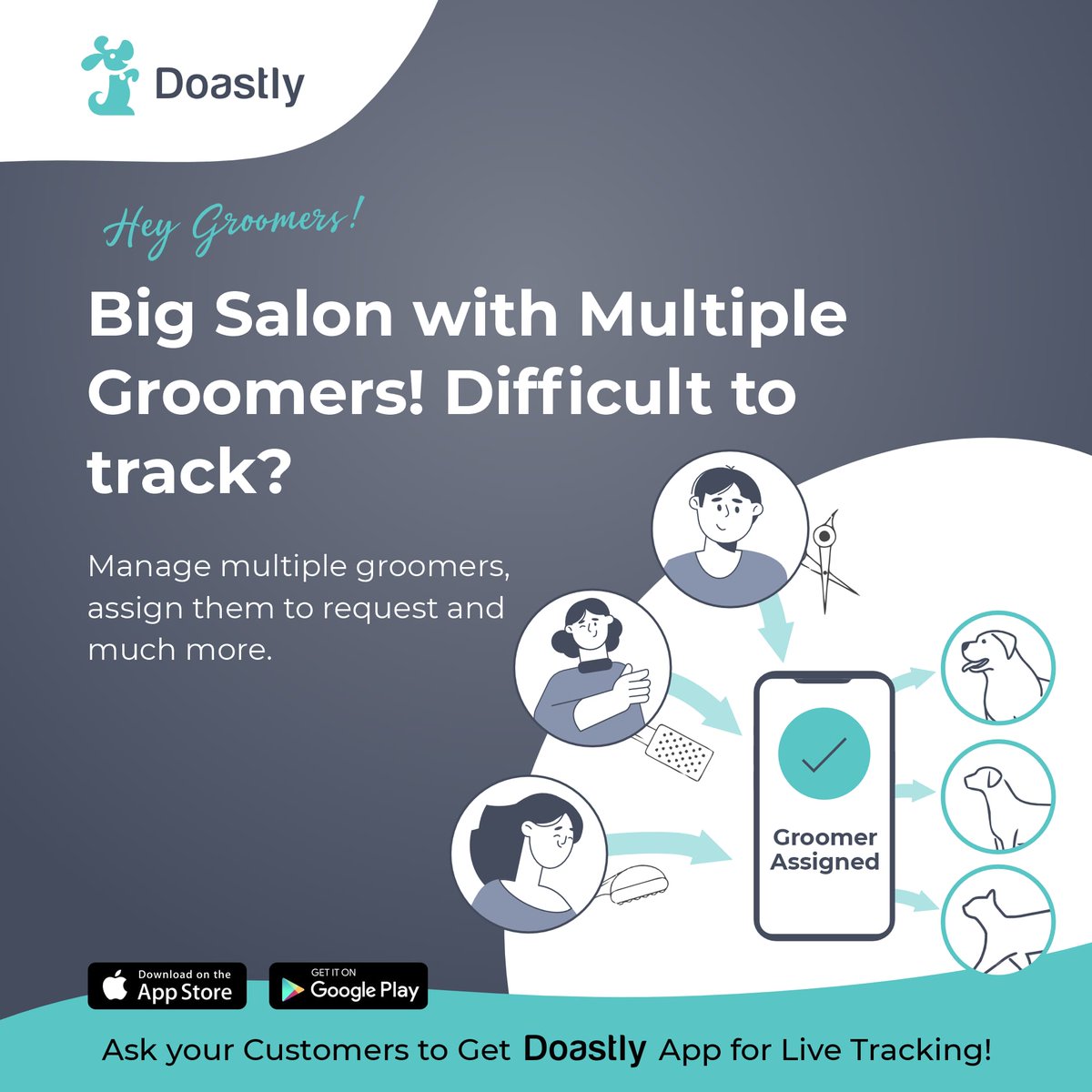 doastly's tweet photo. #petgrooming #pets #groomers #petsalon https://t.co/RIomt0EynY