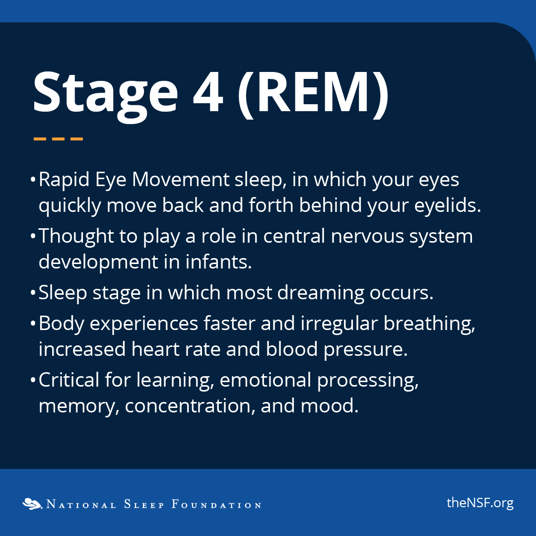 You’ve probably heard of REM sleep, but did you know there’s 3 other stages of sleep? When you sleep, your body cycles through four sleep stages—each serving a specific purpose in helping your body recharge.

For more information, check out our blog: thensf.org/what-are-the-s…