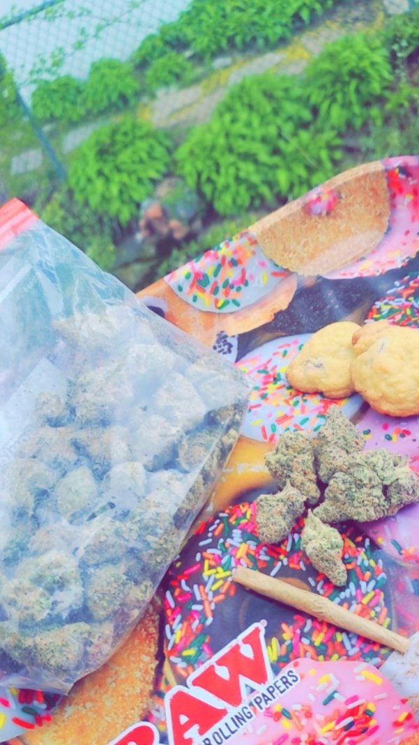 hermommma's tweet photo. Trying to get some fellow stoners on my for you page #letsbefriends. Come smoke with me y'all my kinda ppl!!! #goodvibesonly #edibles #marijuanacookies #Mmemberville #thc #raw #cannabisculture #WeedLife #Weedmob #420community #LiveLaughPuff #stonerbabe #smokeshow #WeedLovers https://t.co/NcZTUmQwAm