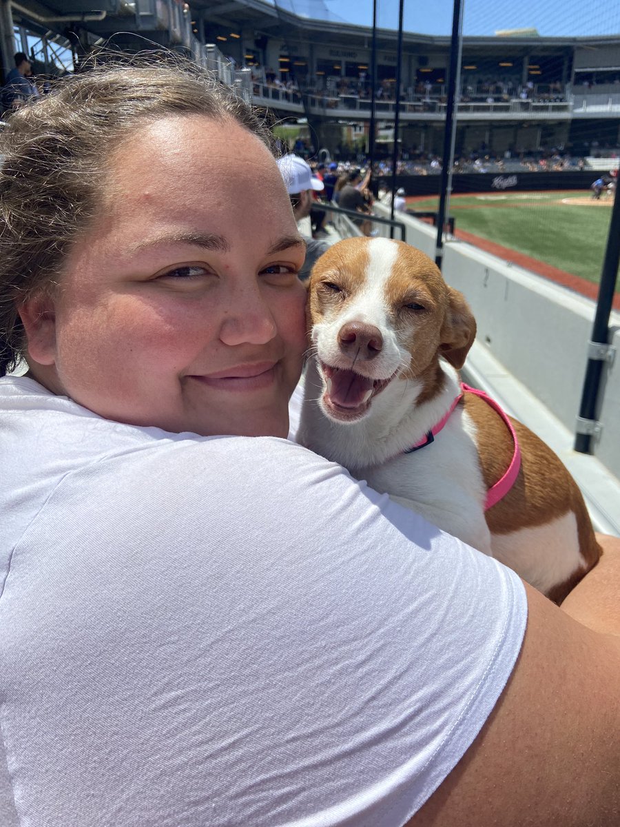 SamRitterOCPS's tweet photo. Beautiful day for baseball with my four-legged babies 🥰 @UCF_Baseball https://t.co/h0n9V89mUF
