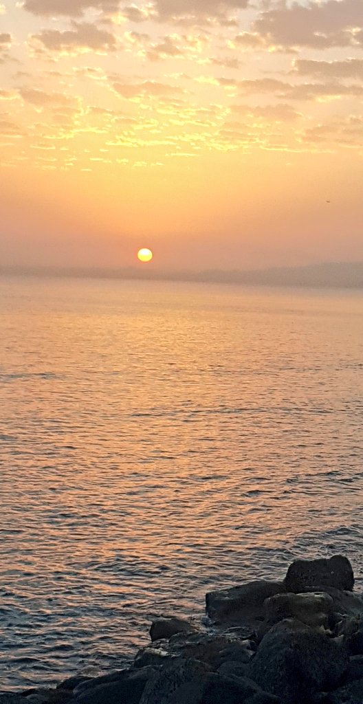 SaraAbd71207324's tweet photo. Beautiful things don't ask for attention 🧡🦋.
#Nightsky
#sunrais
#sunshine
#مساءات https://t.co/rURyndIgyp
