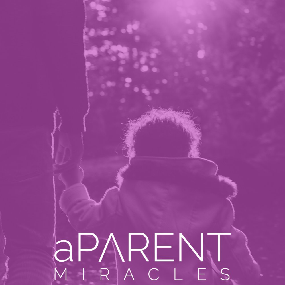 aparentmiracles's tweet photo. The aParent Miracles Foundation was created to provide single working parents with financial assistance or household needs. Behind every single parent is a child with filled boundless potential. Be that Miracle! Follow us or donate today. https://t.co/VeDNZCojzB #BeThatMiracle https://t.co/i2rNCtKqxT