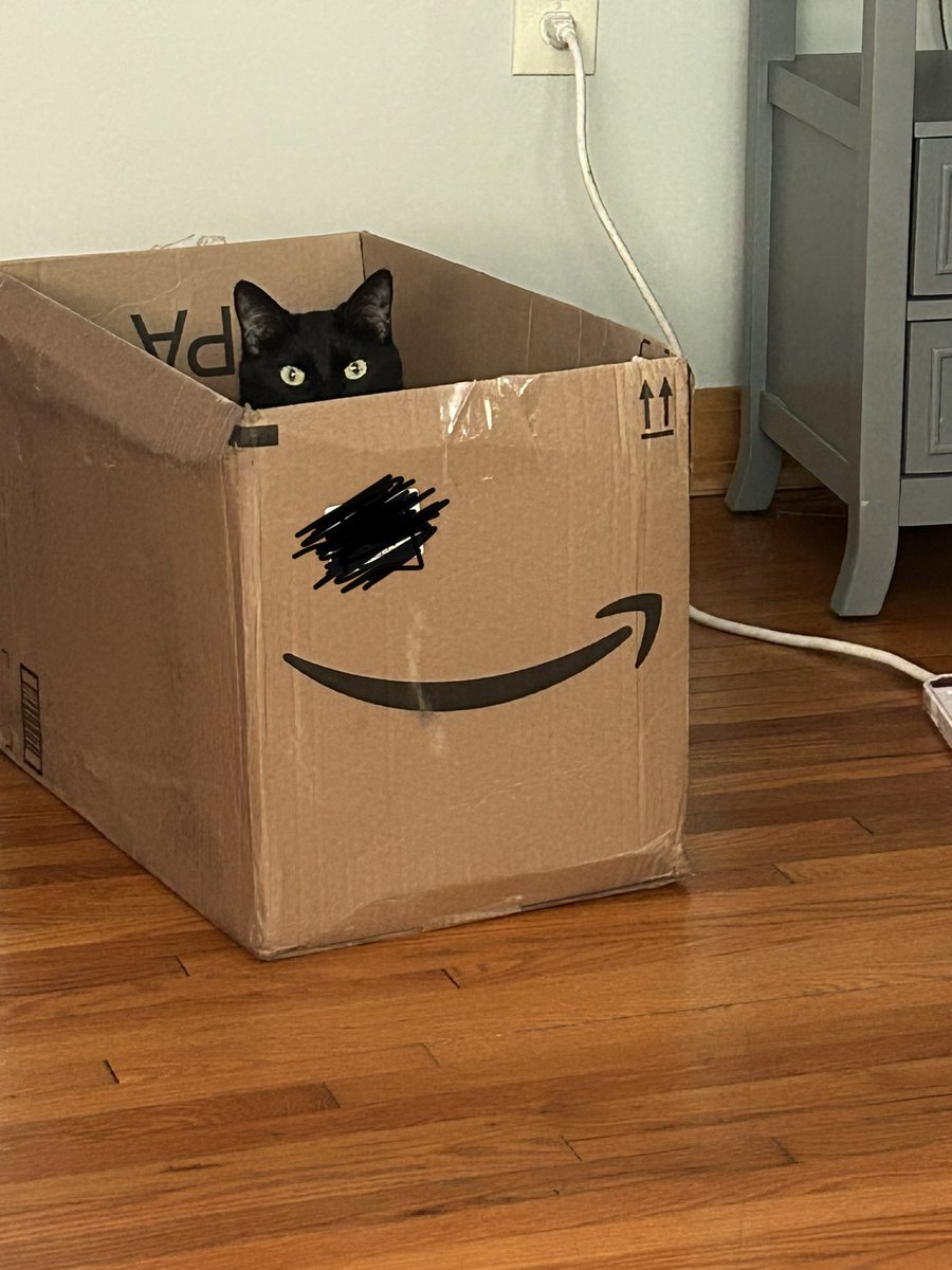 CodeIntrovert's tweet image. Thanks for sending my order purrfectly @amazon