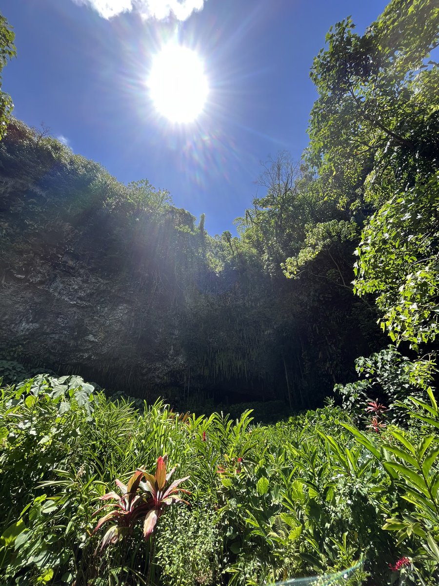 DillonAncheta's tweet photo. TL Cleanser: Take a moment to enjoy the beauty of this ‘aina, of our Hawaiʻi. https://t.co/BUYVsZpyPC