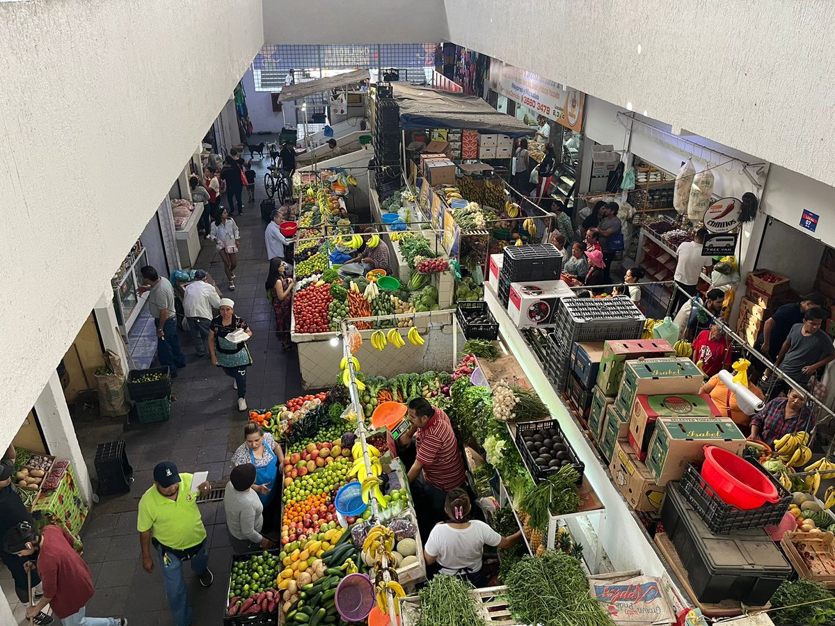 fersa1981's tweet photo. #BuenDomingo Hoy en el #DiaDeLaNinaYElNino quiero invitarlos al mercado Constitución a celebrar y claro también para apoyar al #ComecioLocal ✌️ #CorreleAlMercado 🤙
@ZapopanGob @ServiciosZap @JuanJoseFrangie https://t.co/ZKiM30pHjf