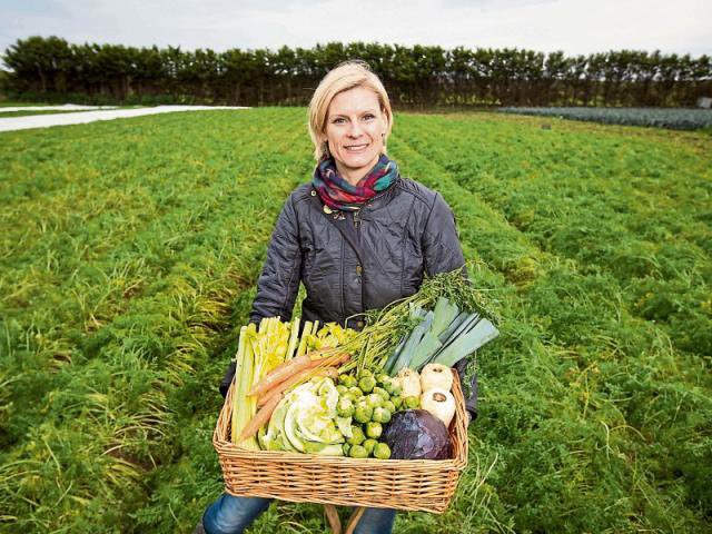 pippa_hackett's tweet photo. If you are interested in the future of #Horticulture in Ireland, please take part in our public consultation on the draft National Horticulture Strategy 2023-2027. 

#HaveYourSay by following this link: https://t.co/hN45PY2QlI  Closing date is 4pm, Sun May 14 @agriculture_ie https://t.co/PUeRr14Zkh