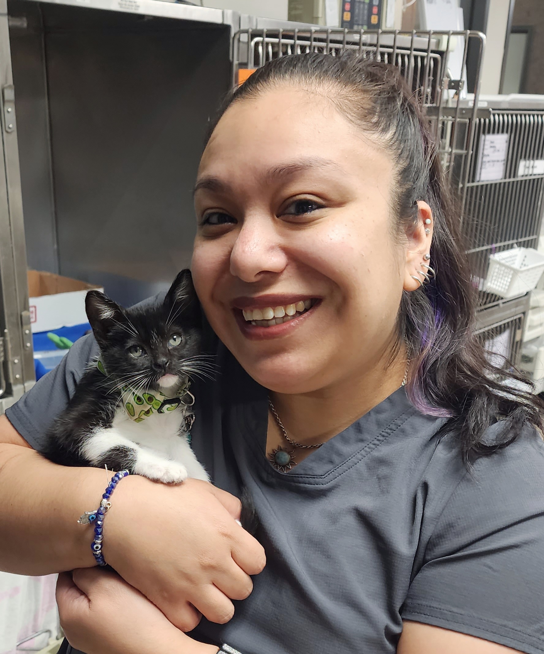 Central Texas Veterinary Specialty & Emergency (CTVSEH) / Twitter