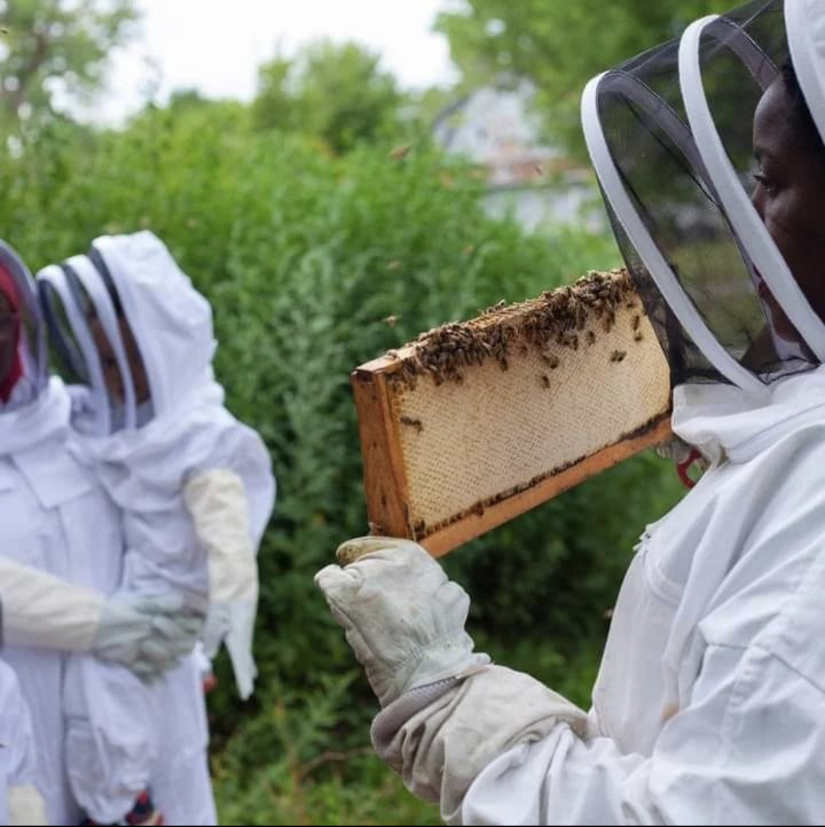 Museum of African American History tweet media