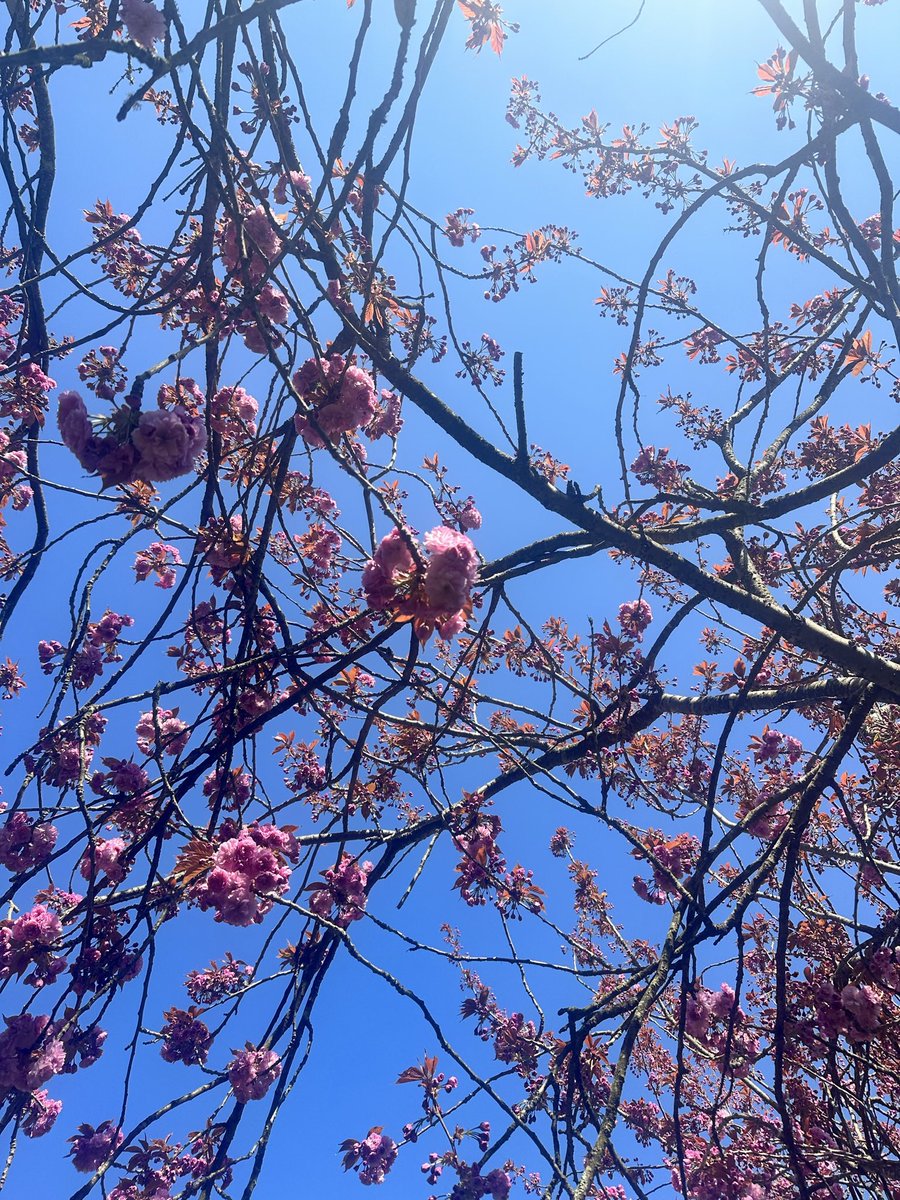 misguidedemilee's tweet photo. April has been wholesome 🫶🏼 https://t.co/E8JZOzYAE1
