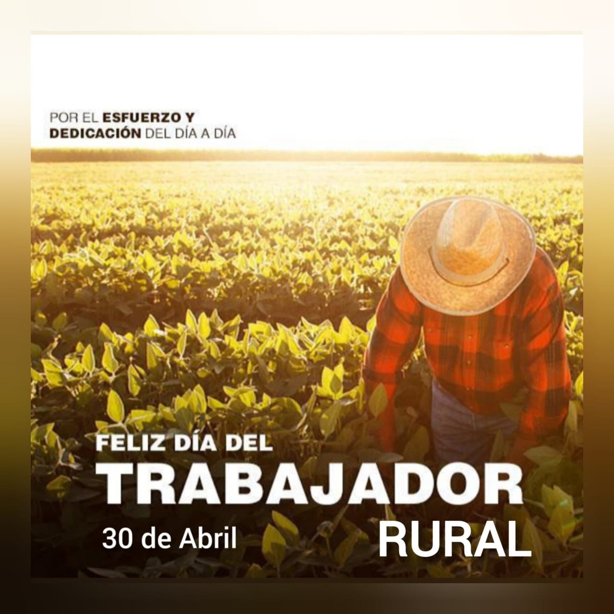 NanoGamarra1's tweet photo. Cada pedacito de nuestra tierra refleja el trabajo del alma. 
Merecido reconocimiento disfruten!! https://t.co/XFoklSKUGd