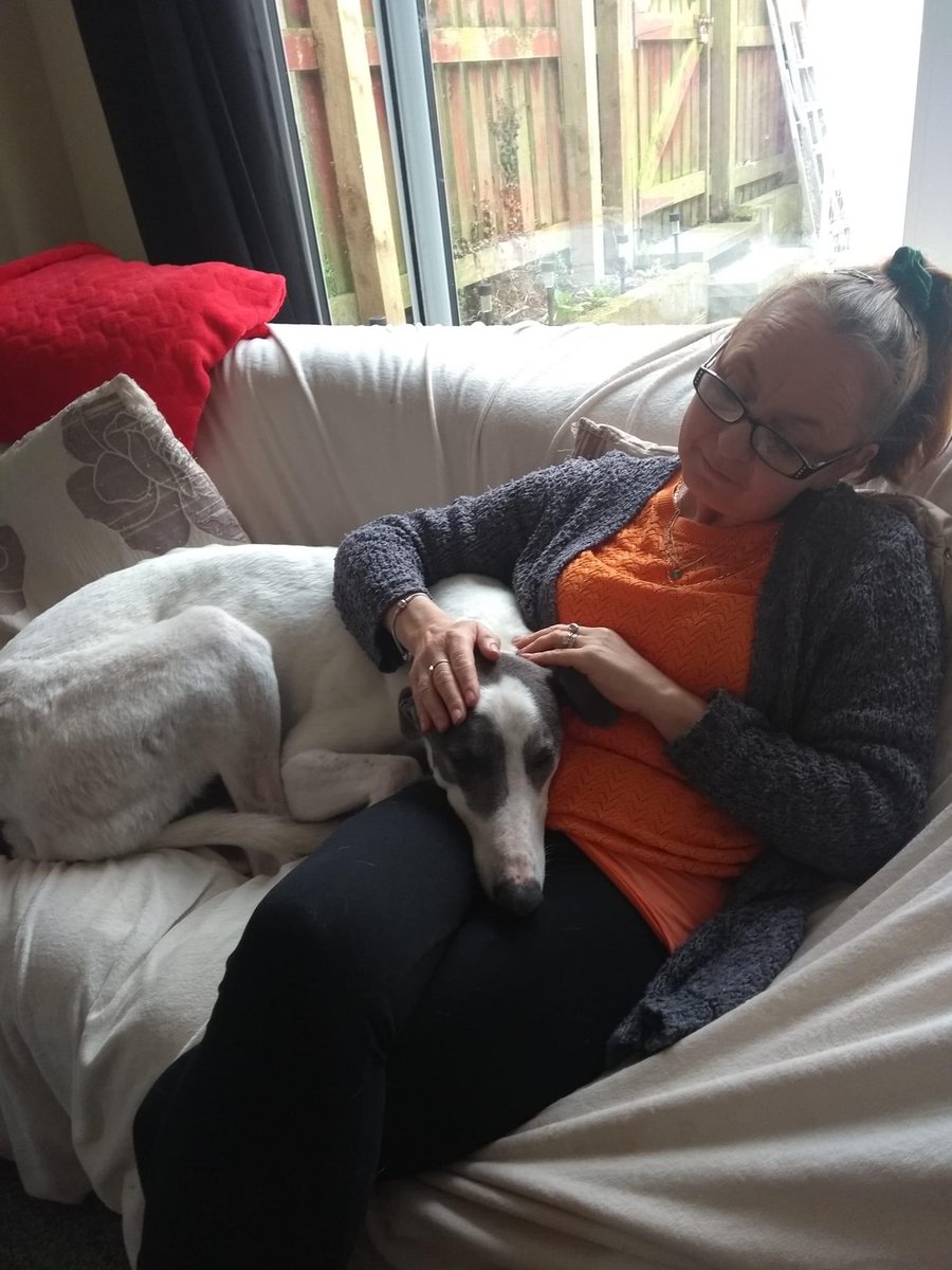 JubileeKennels's tweet photo. We were delighted as always to confirm another homing this week at Cumbria @greyhoundtrust as kennel favourite #MizenJay went to his forever home in Maryport with Julie and her grandson Ryan

After 12 wins from 89 races at @NewcastleDogs he has found a fantastic home ❤️❤️ https://t.co/pZEZ9Bj9MF