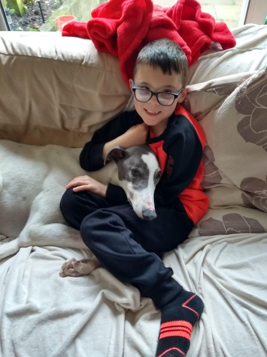 JubileeKennels's tweet photo. We were delighted as always to confirm another homing this week at Cumbria @greyhoundtrust as kennel favourite #MizenJay went to his forever home in Maryport with Julie and her grandson Ryan

After 12 wins from 89 races at @NewcastleDogs he has found a fantastic home ❤️❤️ https://t.co/pZEZ9Bj9MF