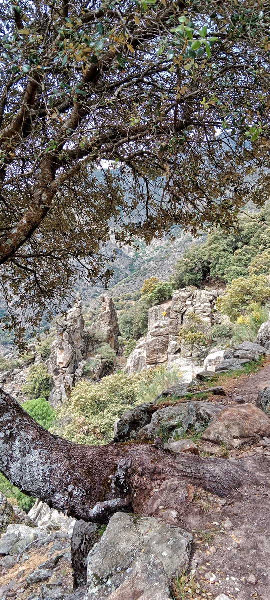 lunita1ssb's tweet photo. Esta maravillosa tierra @birdextremadura esconde rincones como los que veis aquí. #GuijodeSantaBárbara está en la comarca de la Vera y siguiendo el curso del río #Jaranda que baja de Gredos encontramos este gran charco de agua #ElTrabuquete donde los baños son una delicia. https://t.co/34s7iaDwyO
