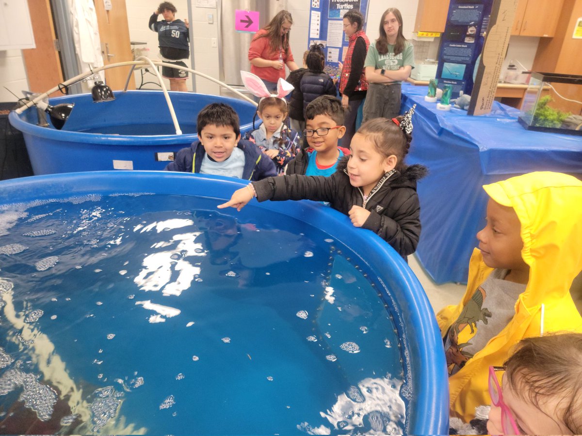 Kelly Lenihan tweet media