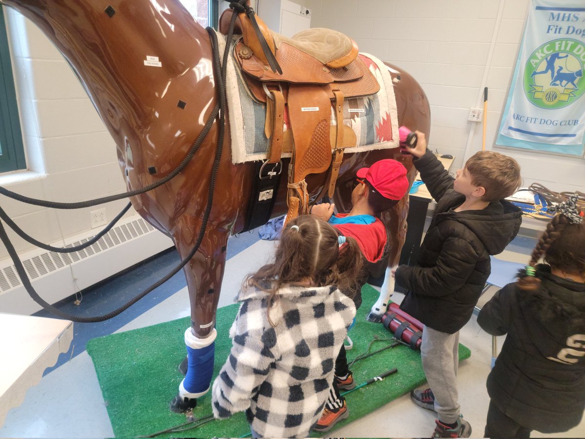 Kelly Lenihan tweet media