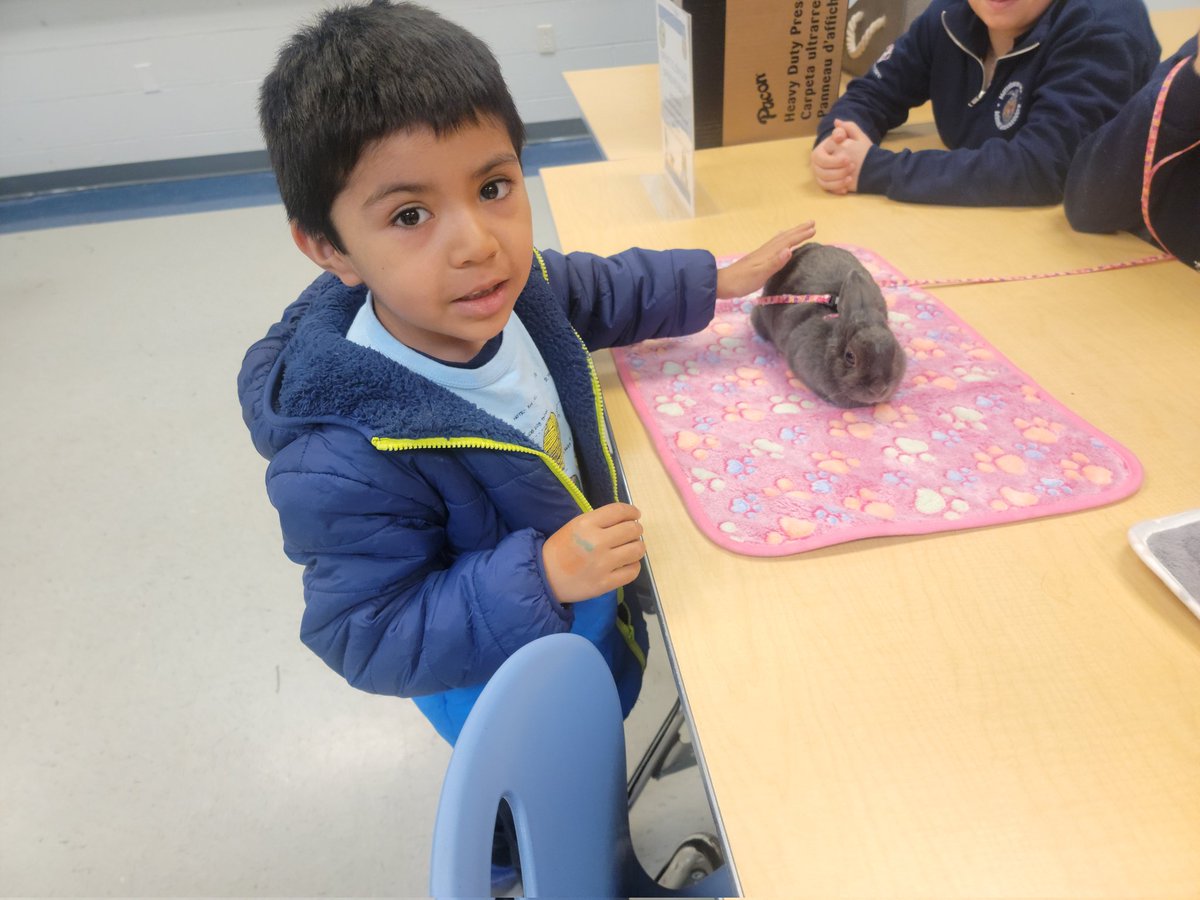 Kelly Lenihan tweet media