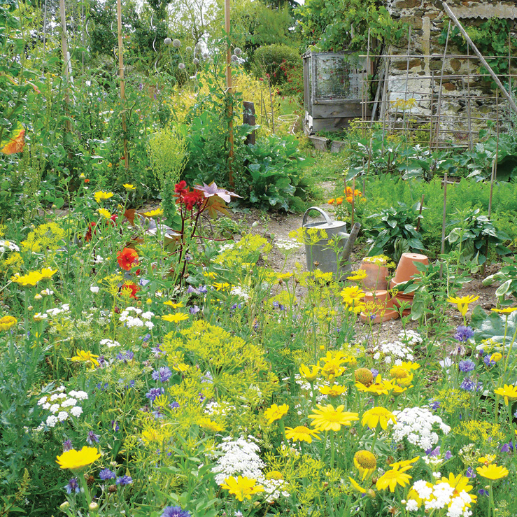 RIerdogan's tweet image. Promotion: Order a mix of any 6 of our new greetings card collection for under £10 (plus £2.95 P&amp;amp;P) 
meadowinmygarden.co.uk/collections/gr… #SpecialOffer #sale #multibuy #flowermeadows #flowerphotography #flowerpower