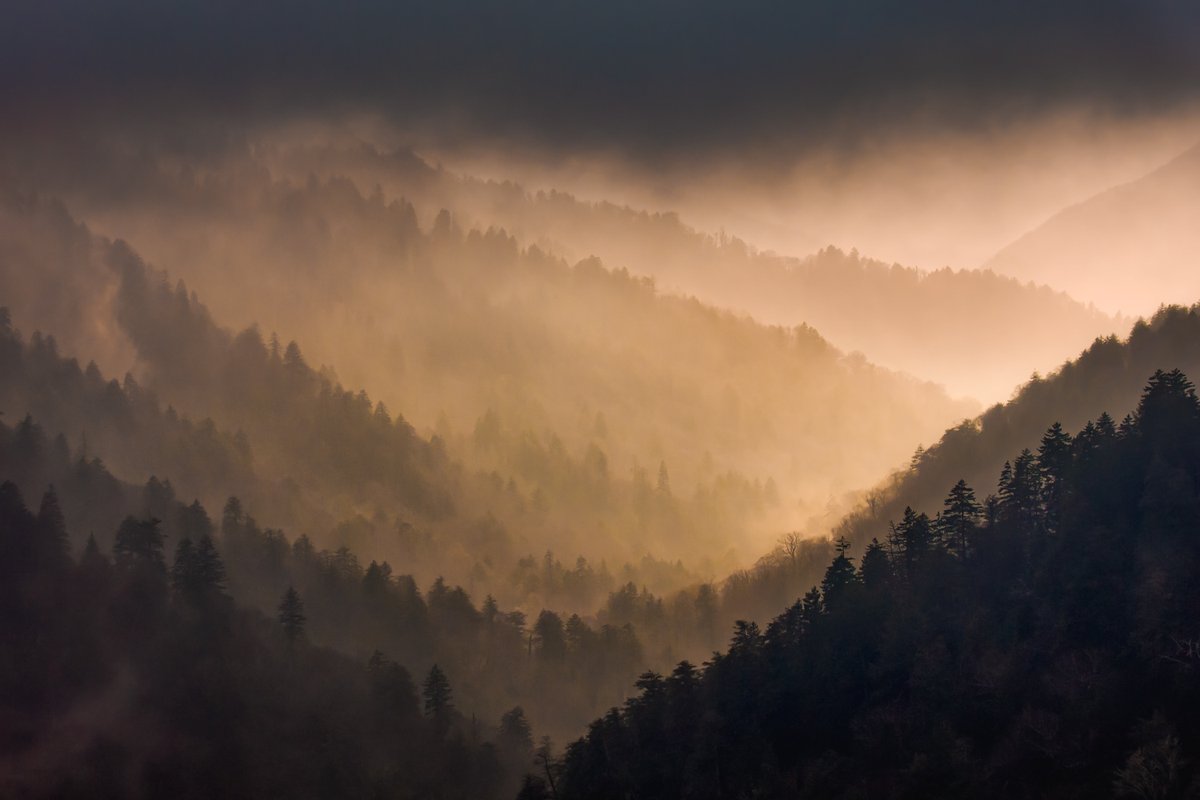 bernabephoto's tweet photo. I'm leaving tomorrow for a week in the Smoky Mountains. Feels like home to me. @GSMNP #photography https://t.co/pzLyxt3Gg0