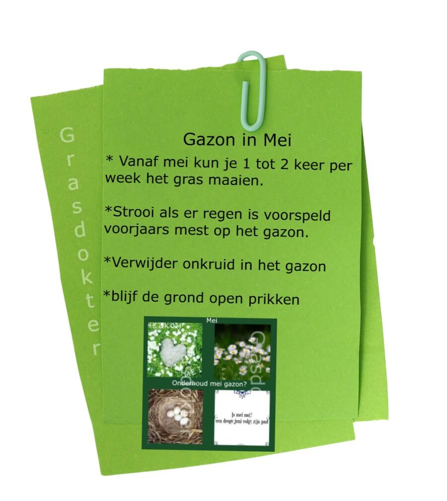 graszodenvinkel's tweet photo. Mei wordt warmer zeggen de weermannen. Nu begint dan eindelijk het onderhoud in de tuin én het gazon!

Stappenplan gazon onderhoud in mei:

https://t.co/nnJw0gwbkd

#gazon #verticuteren #onkruid #MaaiMeiNiet 
#lawn #graszoden https://t.co/89VKilUvZd