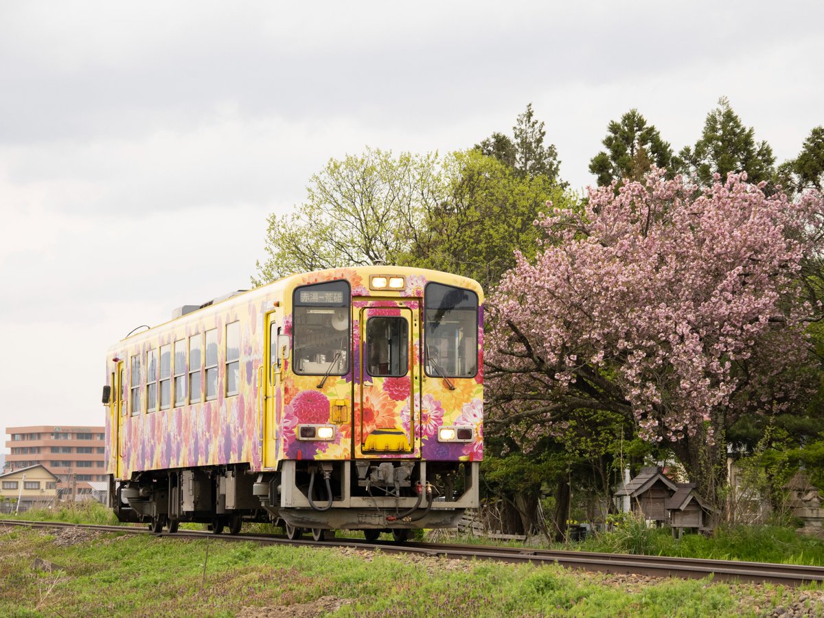 twingo583's tweet photo. 30.Apr.23/66
Yamagata Railway Flower Line
山形鉄道フラワー長井線を撮影
#山形
#Yamagata
#Flowerline
#山形鉄道
#フラワー長井線
#railway https://t.co/h9Iowc1JoR
