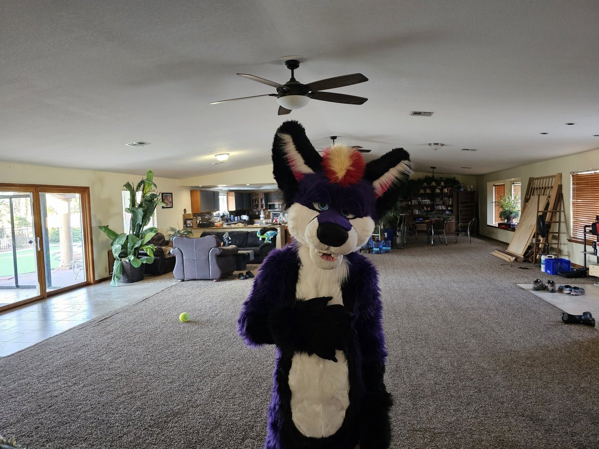 Catherinepanda0's tweet photo. Finally got some good photos of this boy.. Suit made by me #fursuit https://t.co/OsUPGaAQQj