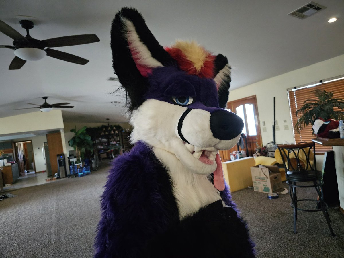 Catherinepanda0's tweet photo. Finally got some good photos of this boy.. Suit made by me #fursuit https://t.co/OsUPGaAQQj