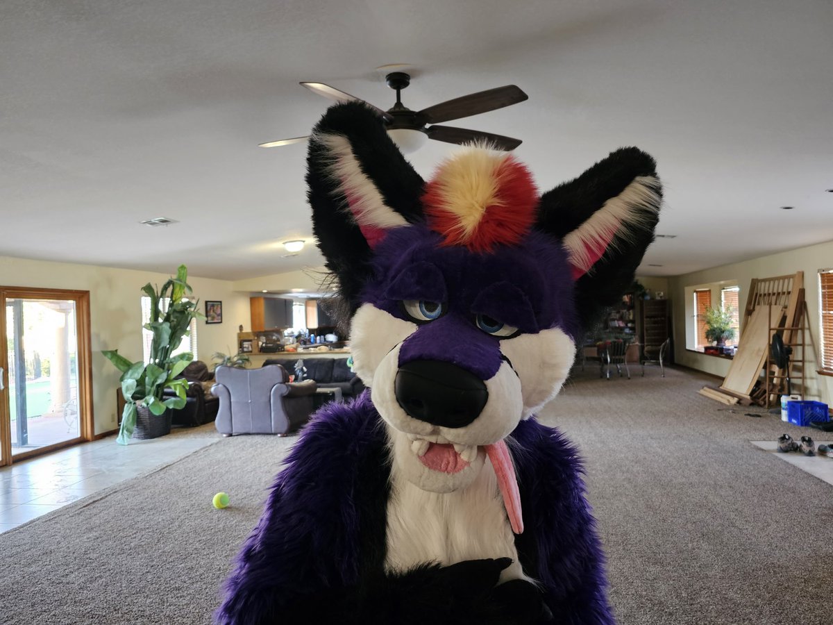 Catherinepanda0's tweet photo. Finally got some good photos of this boy.. Suit made by me #fursuit https://t.co/OsUPGaAQQj